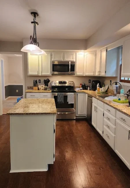 scorpion-painting-ohio (15)